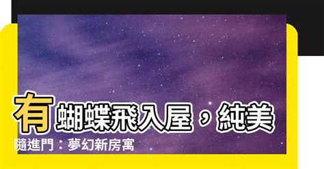 有蝴蝶飛入屋|今日蝴蝶入宅，風水大師解析吉凶